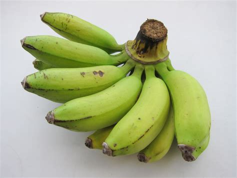 Image result for Codings for Python