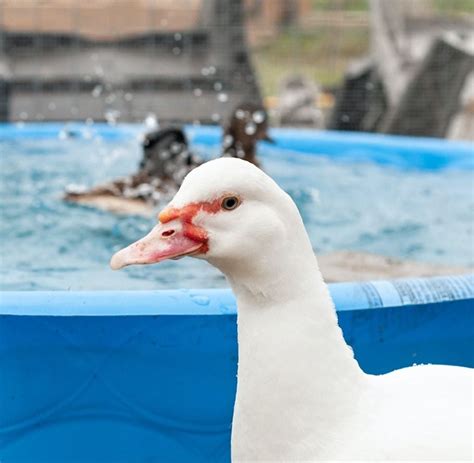 Lilys Place at Maybee Sunday Market (Fredericton, NB), 559 Wilsey Rd ...