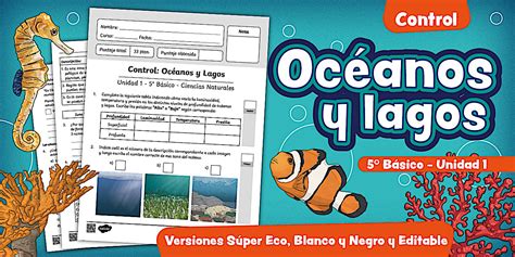 Control | 5° básico | Unidad 1 | Ciencias Naturales | OA 3