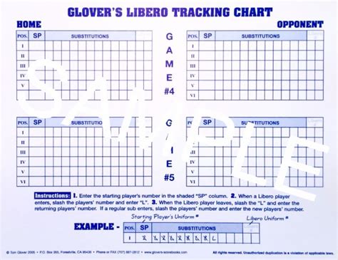 Libero Tracker Tutorial 的图像结果