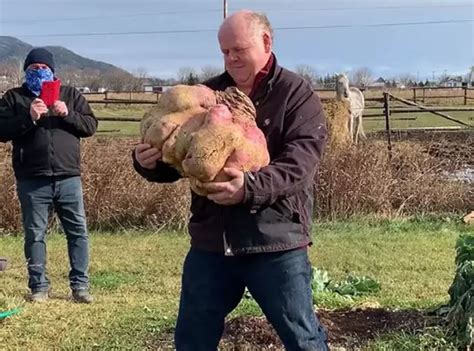 Canadian Man Grows The World's Heaviest Turnip
