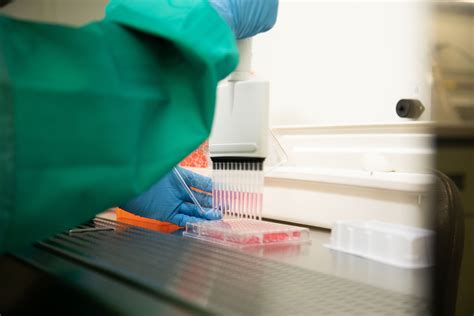 Molecular Genetics Lab 的图像结果