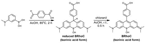 A New Boron–Rhodamine-Containing Carboxylic Acid as a Sugar Chemosensor