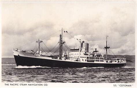 Lost At Sea: Investigating Cruise Ship Disappearances In The Bermuda Triangle