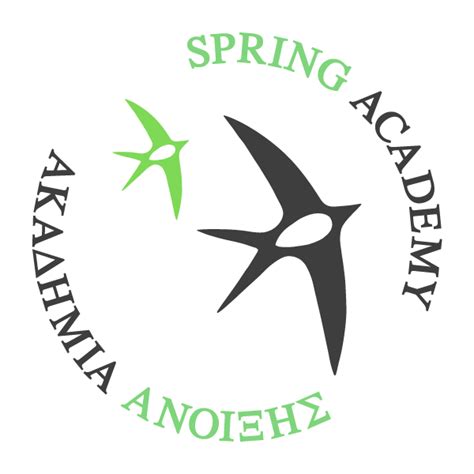 Spring Academy 的图像结果
