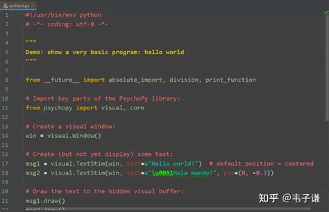 PsychoPy Python 的图像结果
