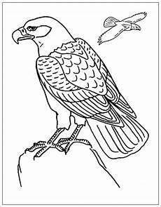 ausmalbilder zum ausdrucken adler ausmalbilder zum ausdrucken ausmalbilder adler ausmalbilder zum ausdrucken adler ausmalbilder zum ausdrucken ausmalbilder adler