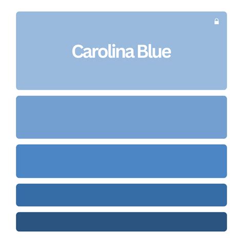 Carolina Blue (#99badd): Color Codes & Palettes