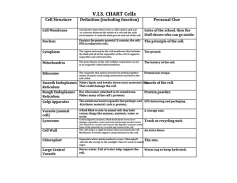 Image result for Vis Calc