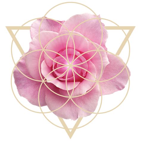 Heal The Cervix | Leyolah Antara