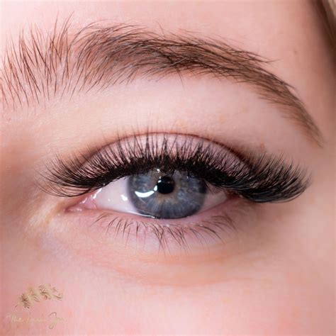 Can You Wear the Cat Eyelash Extension Style? | The Lash Spa