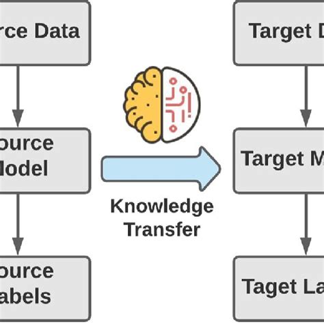 Knowledge Transfer Process 的图像结果