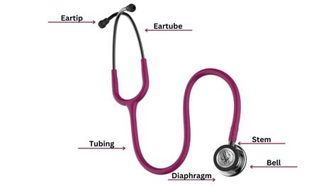 Anatomy Of A Stethoscope