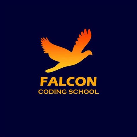 Image result for Falcon C++ Coding Lessons