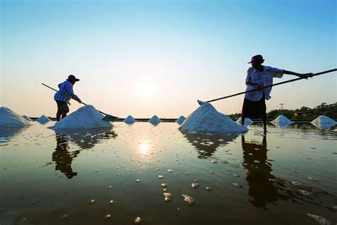 盐城25个景点,盐城景区景点有哪些,盐城景点_大山谷图库