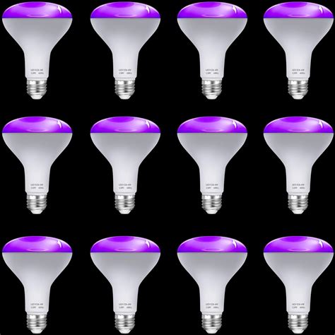 ROCEEI 12 Pcs Black Light Bulbs LED 6W BR30 E26 Blacklight Bulbs for ...