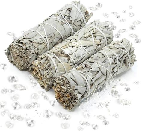 Amazon.com: Native American Organic White Sage Smudge Sticks - Salvia ...