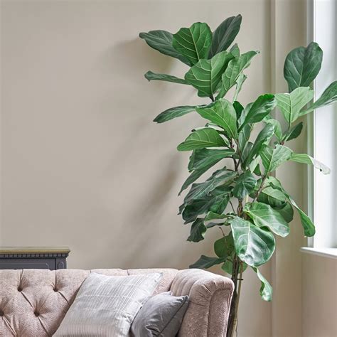 Soft Natural - Wallpaper Emporium