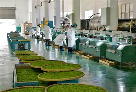 点赞！普安宏鑫茶业荣膺2021第七批农业产业化国家重点龙头企业~|宏鑫|普安|茶业_新浪新闻