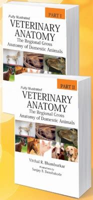 Veterinary Anatomy: The Regional Gross Anatomy of Domestic Animals ...