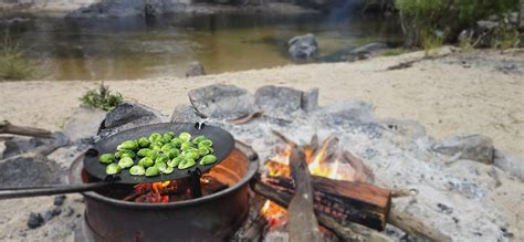 Food for Camping 的图像结果