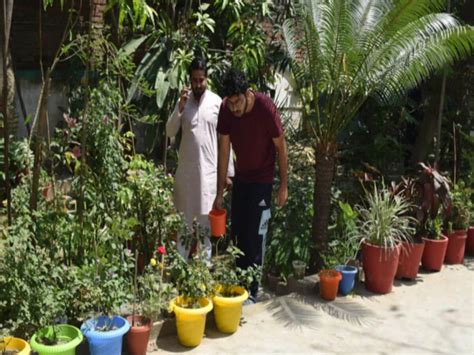 These brothers of Bihar made botanical garden at home sugar free ...