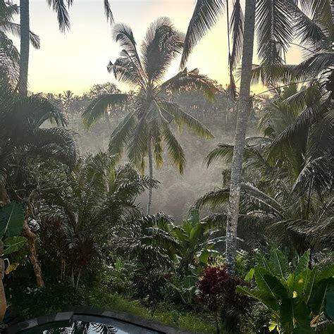 MANDANA UBUD VILLA (Bali) - Hotel Reviews, Photos, Rate Comparison ...