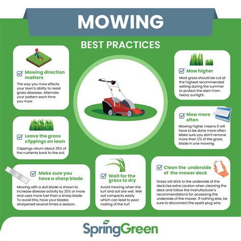 How to Properly Mow Your Lawn: Expert Techniques & Tips