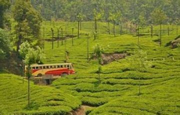 7 Days Cochin to Alleppey Tour Package | Munnar, Cochin, Thekkady ...