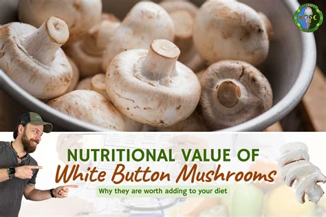 Giant Puffball Mushroom Nutritional Value & Top 4 Health Benefits