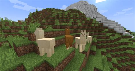 Command to Be Animal Minecraft Java 的图像结果