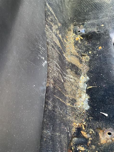 Deep cleaning dried stains out of a black carpet? : r/Detailing