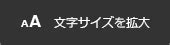 Image result for Software Dev Code