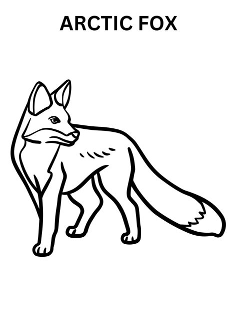 Realistic Arctic Fox Coloring Pages – Kidsversuscopy.com