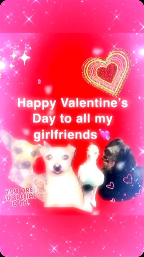 Funny dyed chihuahua pink and green meme | Which eyebrows | Instagram