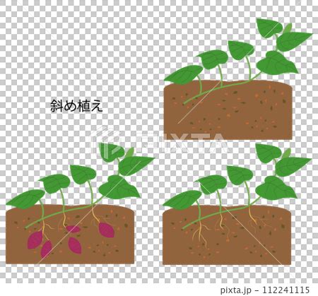 Image result for Script Example Intro