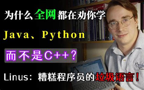 Python Java J's Net 的图像结果