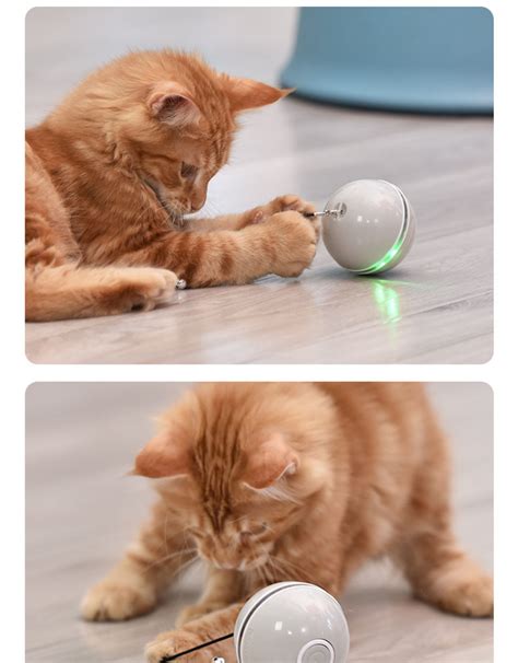 猫咪逗猫玩具球小猫自嗨解闷神器电动智能组合自动逗猫球宠物用品-阿里巴巴