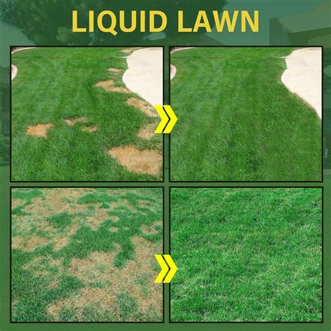 Buy BUIgtTklOP Lawn Liquid Spray,Liquid Seeding Grass Lawn Green Spray ...