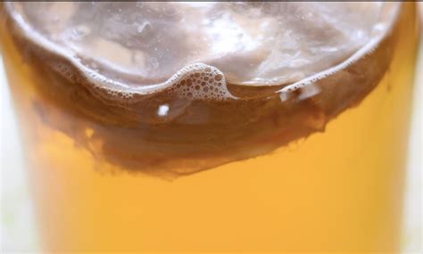 Choose the booch: 5 reasons to pick up this funky beverages