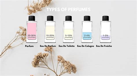What Are The Different Levels Of Perfume at Wilbur Pritt blog