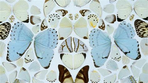 En fotos: Damien Hirst, el artista más rico del mundo - Semana