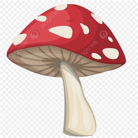 Mushroom Clip Art Stock Images – Vintage Mushroom Clip Art