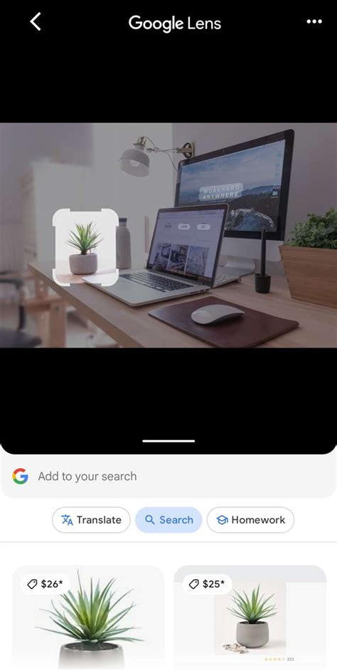 Image result for Visual Search Examples