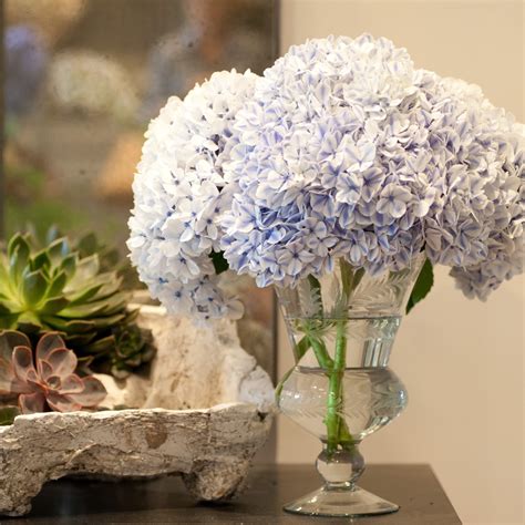 Hydrangea Flower Arrangements