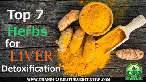 Herbs Bad For The Liver at Sara Wentworth blog