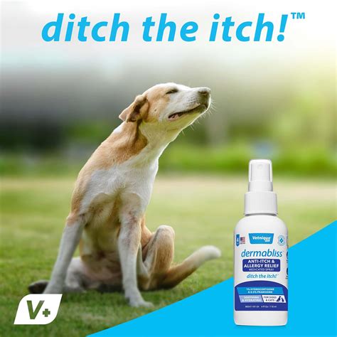Can I Use Hydrocortisone Spray On My Dog