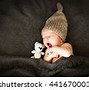 Image result for Cute Baby Bunnies Kissing