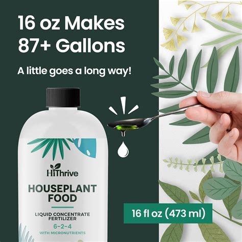 16oz Houseplant Fertilizer, All Purpose Indoor Plant Liberia | Ubuy