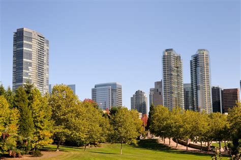 Expert Tax Preparation Tips for Bellevue Residents